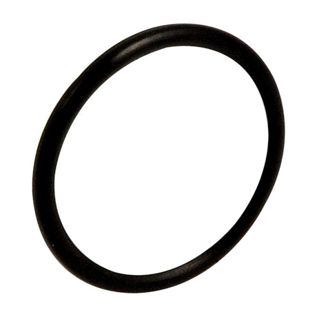 Koch 4075701 O-Ring, Rubber