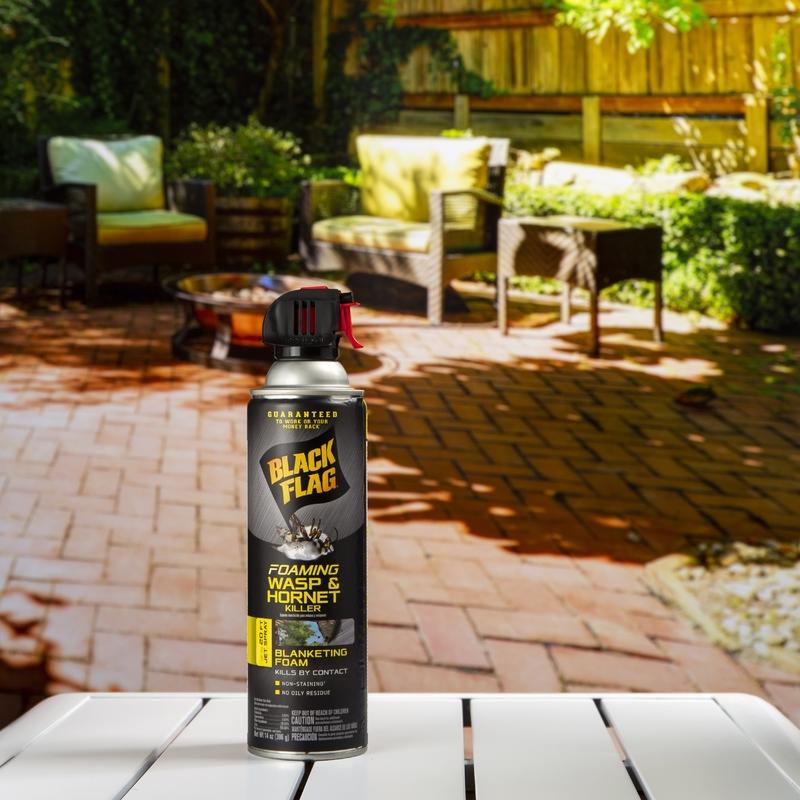 Black Flag Wasp and Hornet Killer Foam 14 oz