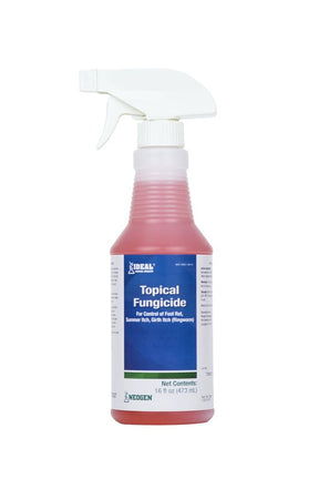 Neogen 79209 Topical Fungicide, 16 oz, Bottle