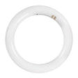 Feit Electric FC8/3CCT/LED LED Light Bulb, Color Selectable, Circline Lamp, 4-Pin G10Q Lamp Base