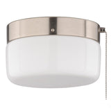 Boston Harbor OG24014 Ceiling Light, 120 V, 2-Lamp, CFL, LED Lamp, Stainless Steel Fixture, Satin Nickel Fixture