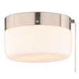 Boston Harbor OG24014 Ceiling Light, 120 V, 2-Lamp, CFL, LED Lamp, Stainless Steel Fixture, Satin Nickel Fixture