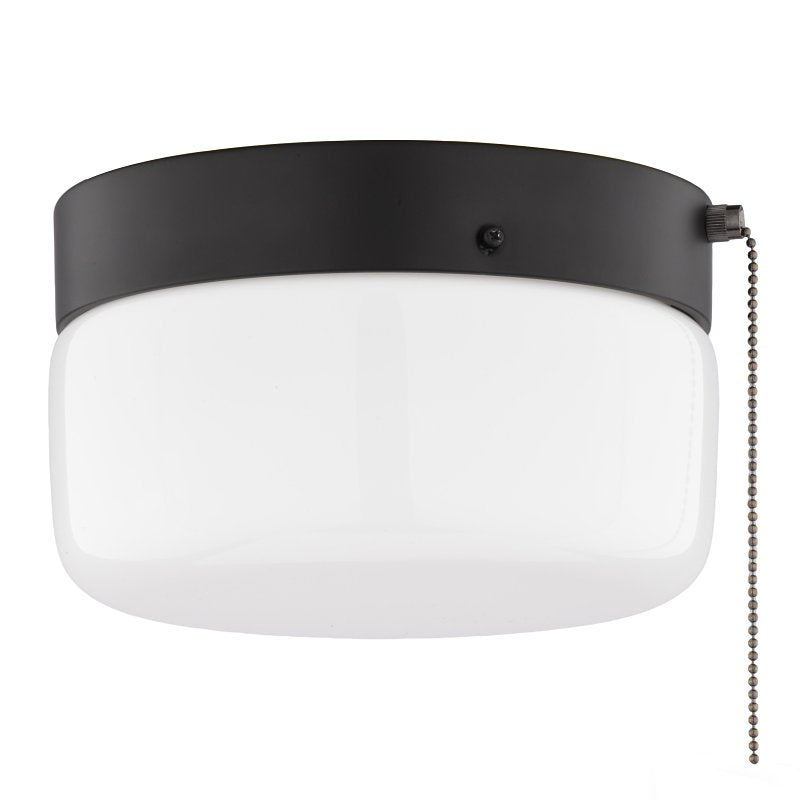Boston Harbor OG24015 Ceiling Light, 120 V, 2-Lamp, CFL, Incandescent, LED Lamp, Metal Fixture, Matte Black Fixture