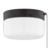 Boston Harbor OG24015 Ceiling Light, 120 V, 2-Lamp, CFL, Incandescent, LED Lamp, Metal Fixture, Matte Black Fixture