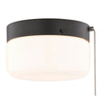 Boston Harbor OG24015 Ceiling Light, 120 V, 2-Lamp, CFL, Incandescent, LED Lamp, Metal Fixture, Matte Black Fixture