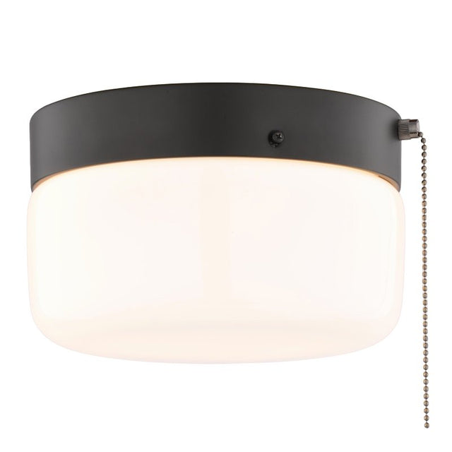 Boston Harbor OG24015 Ceiling Light, 120 V, 2-Lamp, CFL, Incandescent, LED Lamp, Metal Fixture, Matte Black Fixture