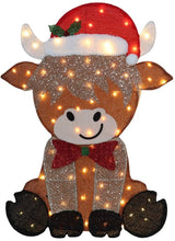 31IN 2D LIGHTED FABRIC HIGHLAN