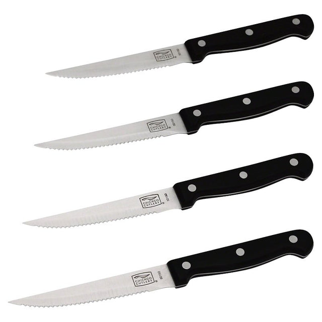 Chicago Cutlery Essentials Series 1094283 Steak Knife Set, 4-Piece, Polymer/Stainless Steel
