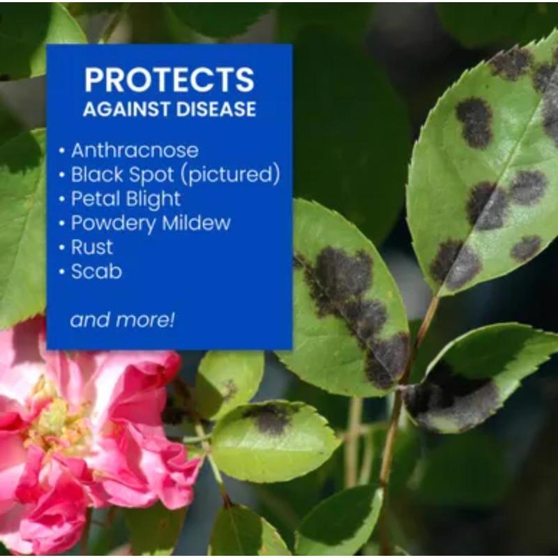 BioAdvanced 3-In-1 Insect Disease & Mite Control Liquid 32 fl. oz.