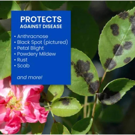 BioAdvanced 3-In-1 Insect Disease & Mite Control Liquid 32 fl. oz.