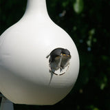 Heath 30008/30008R Bird House, 17-1/4 in W, 14-1/4 in D, 9-1/2 in H, Gourd, Plastic, Almond
