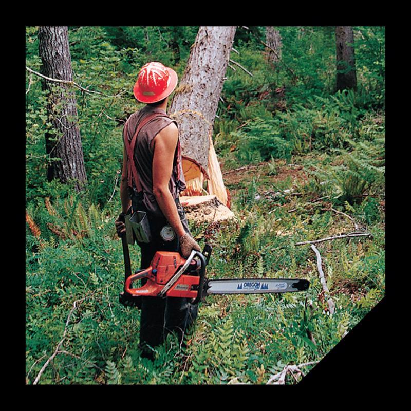 Oregon Felling Wedge