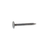 Grip-Rite 2 in. Roofing Electro-Galvanized Steel Nail Flat Head 1 lb, Pack of 12