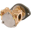 Pump-Cat 3126 Engines
