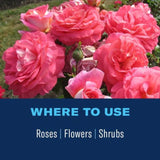 BioAdvanced 2-In-1 Systemic Granules Rose and Flower Plant Food 10 lb