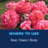 BioAdvanced 2-In-1 Systemic Granules Rose and Flower Plant Food 5 lb