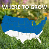 Jonathan Green Black Beauty Sun and Shade Mixed Partial Shade/Sun Grass Seed 15 lb