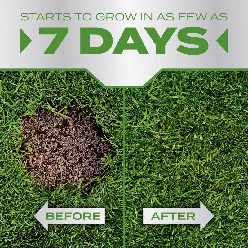 Scotts PatchMaster Tall Fescue Grass Sun or Shade Grass Spot Repair Mix 10 lb