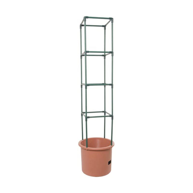 Hydrofarm 12 in. H X 14 in. W Green Plastic Tomato Cage, Pack of 4