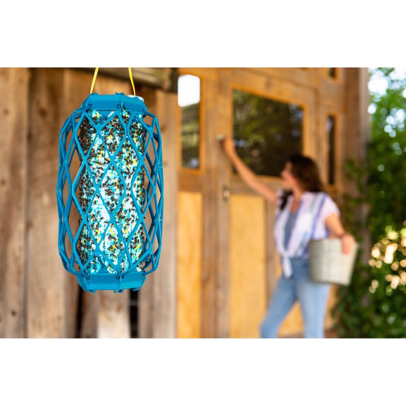 RESCUE TrapStik Fly Trap 1 pk, Pack of 6