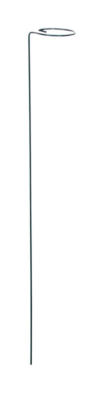 Panacea 24 in. H X 2 inch ft. W Green Steel Plant Support