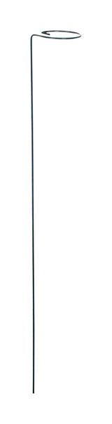 Panacea 24 in. H X 2 inch ft. W Green Steel Plant Support