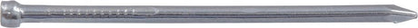 Hillman 122500 Wire Nail, 1/2 in L, Steel, Bright, Brad Head, Thin Shank, 1.75 oz, Pack of 6