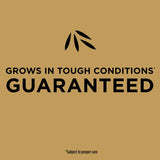 Scotts EZ Seed Bermuda Grass Full Sun Grass Spot Repair Mix 20 lb