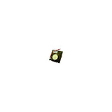 Module Assembly
