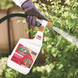 Bonide Captain Jacks Dead Bug Brew Organic Caterpillar Killer Liquid 32 oz, Pack of 12