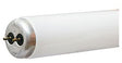 GE 10183 Light Bulb, 15 W, T12 Lamp, G13 Medium Bi-Pin Lamp Base, 760 Lumens, 4100 K Color Temp, Cool White Light, Pack of 6