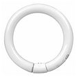GE 33774 Light Bulb, 22 W, T9 Circline Lamp, G10q 4-Pin Lamp Base, 1100 Lumens, 4100 K Color Temp, Pack of 12