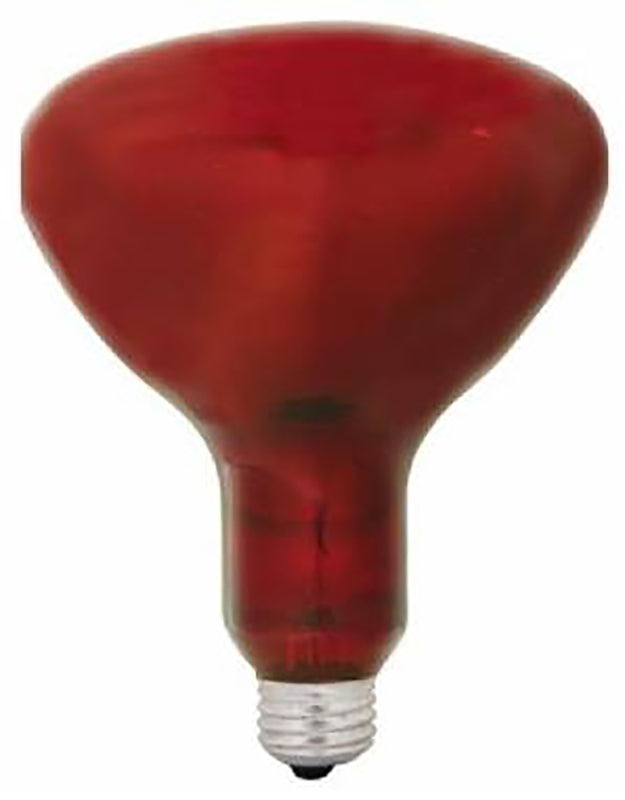GE 37771 Heat Bulb, 250 W, R40 Lamp, E26 Medium Lamp Base, Red Light, 5000 hr Average Life, Pack of 6