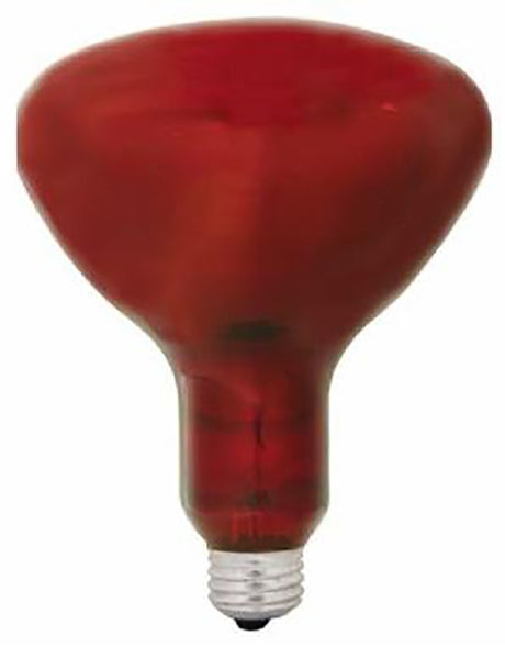 GE 37771 Heat Bulb, 250 W, R40 Lamp, E26 Medium Lamp Base, Red Light, 5000 hr Average Life, Pack of 6