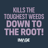 Lilly Miller Image Weed Killer RTS Hose-End Concentrate 32 oz, Pack of 6