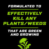 Ortho GroundClear Weed and Grass Killer RTU Liquid 1 gal, Pack of 4