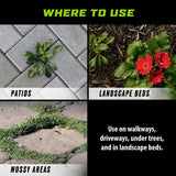 Ortho GroundClear Weed and Grass Killer RTU Liquid 1 gal, Pack of 4