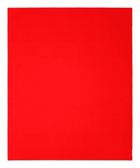 Diablo DCS911060S20G Sanding Sheet, 9 in W, 11 in L, 60 Grit, Coarse, Ceramic Abrasive, Paper Backing