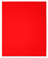 Diablo DCS911080S01B Sanding Sheet, 9 in W, 11 in L, Aluminum Oxide Abrasive, Paper Backing, 1/PK, Pack of 50