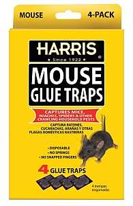 Harris HMG-4 Mouse Glue Trap, Pre-Baited, Cardboard
