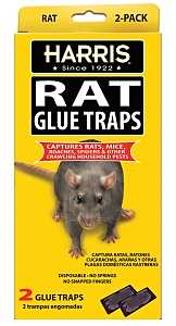 Harris HRG-2 Rat Glue Trap, Pre-Baited