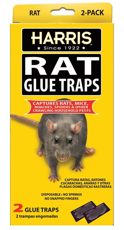 Harris HRG-2 Rat Glue Trap, Pre-Baited
