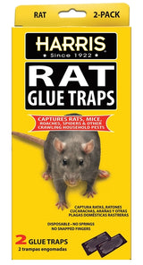 Harris HRG-2 Rat Glue Trap, Pre-Baited