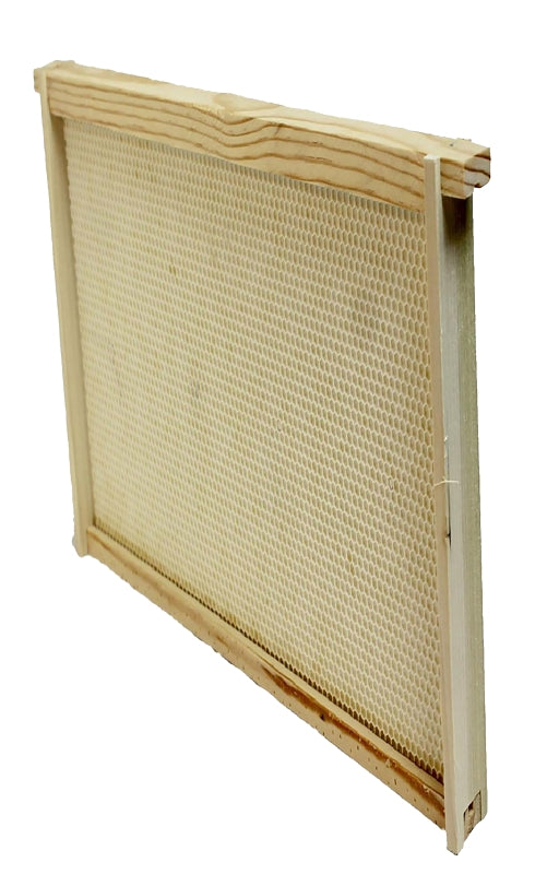 Harvest Lane Honey WWFFD-101 Bee Frame, Plastic/Wood