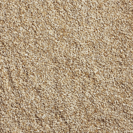 Kaytee Wild Bird Seed 5 lb
