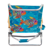 Rio Brands 5-Position Assorted Beach Folding Chair, Pack of 4