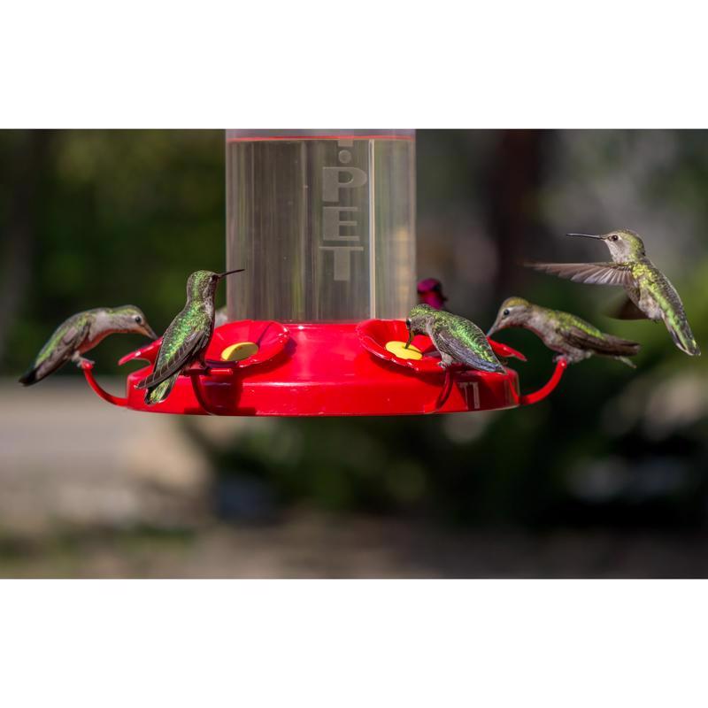 Perky-Pet Hummingbird 48 oz Glass/Plastic Nectar Bird Feeder 6 ports, Pack of 6