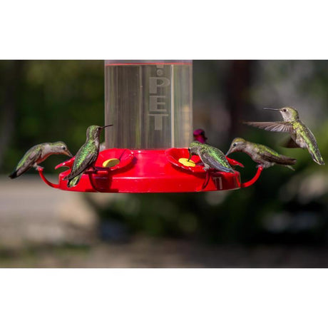 Perky-Pet Hummingbird 48 oz Glass/Plastic Nectar Bird Feeder 6 ports, Pack of 6