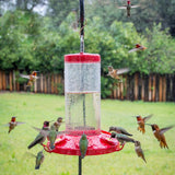 Perky-Pet Hummingbird 48 oz Glass/Plastic Nectar Bird Feeder 6 ports, Pack of 6