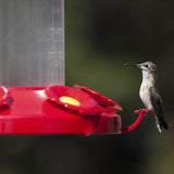 Perky-Pet Hummingbird 48 oz Glass/Plastic Nectar Bird Feeder 6 ports, Pack of 6